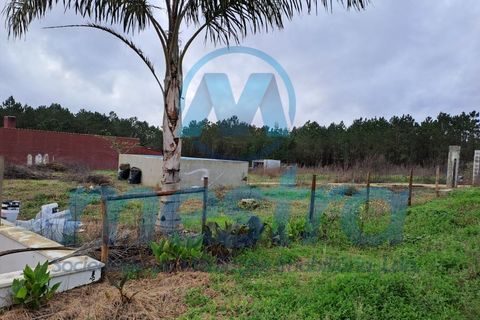 Villa i Bidoeira de Cima, Leiria, Bidoeira de Cima - € 385.000 | Ref: 042 - foto 31