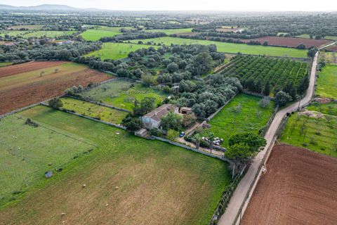 Hus på landet i Felanitx, Mallorca - foto 1
