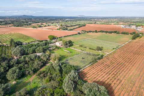 Hus på landet i Felanitx, Mallorca - foto 3