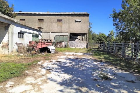 Farm i Boidobra, Castelo Branco, Boidobra - € 1.150.000 | Ref: VIL_50574 - foto 4