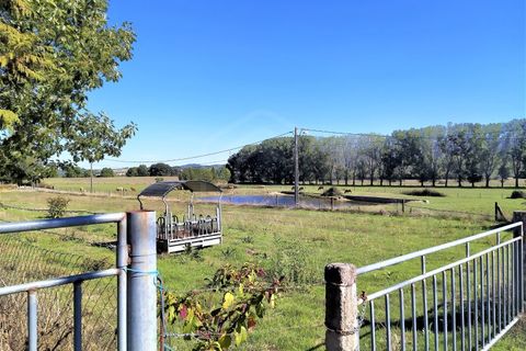 Farm i Boidobra, Castelo Branco, Boidobra - € 1.150.000 | Ref: VIL_50574 - foto 5