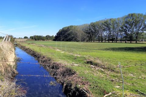 Farm i Boidobra, Castelo Branco, Boidobra - € 1.150.000 | Ref: VIL_50574 - foto 6
