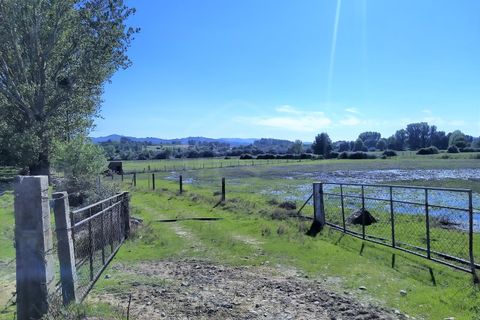 Farm i Boidobra, Castelo Branco, Boidobra - € 1.150.000 | Ref: VIL_50574 - foto 7