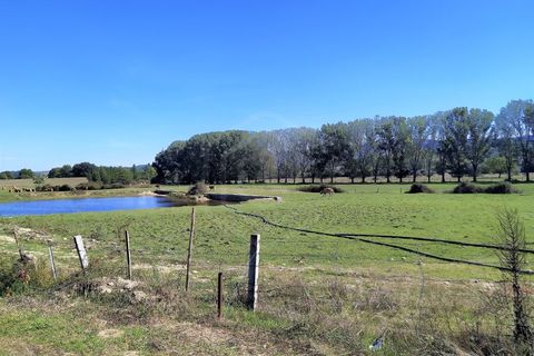 Farm i Boidobra, Castelo Branco, Boidobra - € 1.150.000 | Ref: VIL_50574 - foto 8