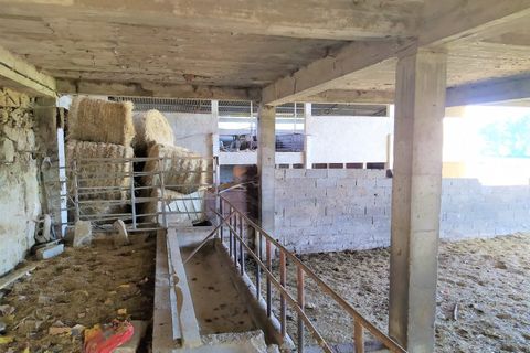 Farm i Boidobra, Castelo Branco, Boidobra - € 1.150.000 | Ref: VIL_50574 - foto 11