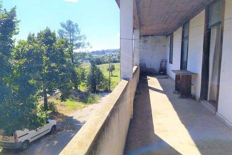 Farm i Boidobra, Castelo Branco, Boidobra - € 1.150.000 | Ref: VIL_50574 - foto 23