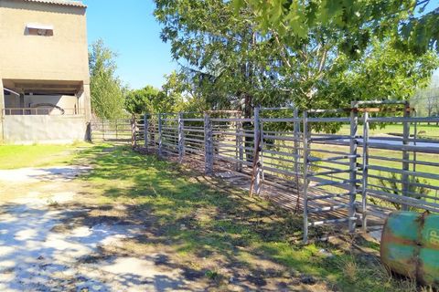 Farm i Boidobra, Castelo Branco, Boidobra - € 1.150.000 | Ref: VIL_50574 - foto 24