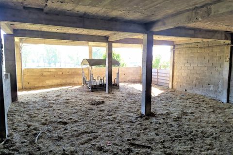 Farm i Boidobra, Castelo Branco, Boidobra - € 1.150.000 | Ref: VIL_50574 - foto 25