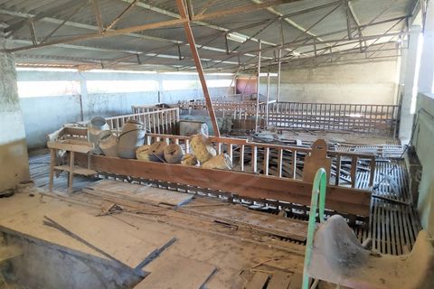 Farm i Boidobra, Castelo Branco, Boidobra - € 1.150.000 | Ref: VIL_50574 - foto 26