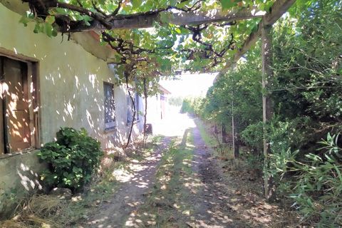 Farm i Boidobra, Castelo Branco, Boidobra - € 1.150.000 | Ref: VIL_50574 - foto 28