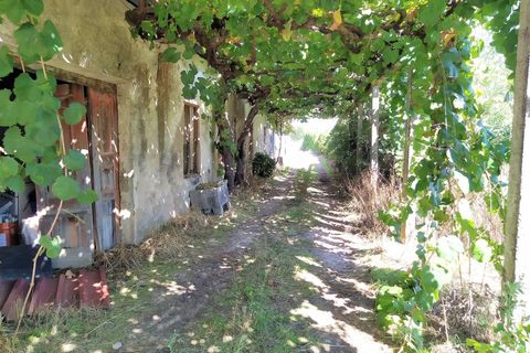 Farm i Boidobra, Castelo Branco, Boidobra - € 1.150.000 | Ref: VIL_50574 - foto 29