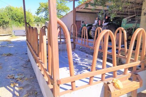 Farm i Boidobra, Castelo Branco, Boidobra - € 1.150.000 | Ref: VIL_50574 - foto 30