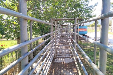 Farm i Boidobra, Castelo Branco, Boidobra - € 1.150.000 | Ref: VIL_50574 - foto 31