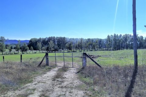 Farm i Boidobra, Castelo Branco, Boidobra - € 1.150.000 | Ref: VIL_50574 - foto 33