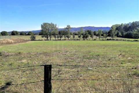 Farm i Boidobra, Castelo Branco, Boidobra - € 1.150.000 | Ref: VIL_50574 - foto 35