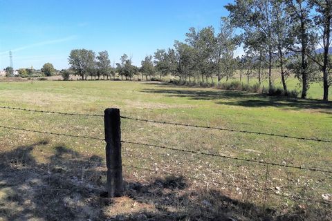 Farm i Boidobra, Castelo Branco, Boidobra - € 1.150.000 | Ref: VIL_50574 - foto 36