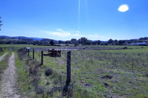 Farm i Boidobra, Castelo Branco, Boidobra - € 1.150.000 | Ref: VIL_50574 - foto 37