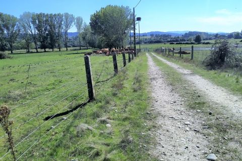 Farm i Boidobra, Castelo Branco, Boidobra - € 1.150.000 | Ref: VIL_50574 - foto 38