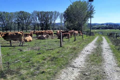 Farm i Boidobra, Castelo Branco, Boidobra - € 1.150.000 | Ref: VIL_50574 - foto 39