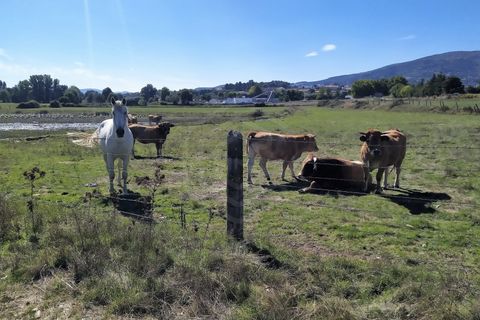 Farm i Boidobra, Castelo Branco, Boidobra - € 1.150.000 | Ref: VIL_50574 - foto 40