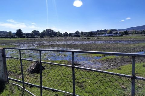 Farm i Boidobra, Castelo Branco, Boidobra - € 1.150.000 | Ref: VIL_50574 - foto 41