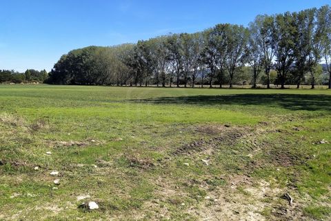 Farm i Boidobra, Castelo Branco, Boidobra - € 1.150.000 | Ref: VIL_50574 - foto 42