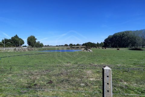 Farm i Boidobra, Castelo Branco, Boidobra - € 1.150.000 | Ref: VIL_50574 - foto 44