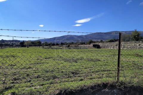Farm i Boidobra, Castelo Branco, Boidobra - € 1.150.000 | Ref: VIL_50574 - foto 45