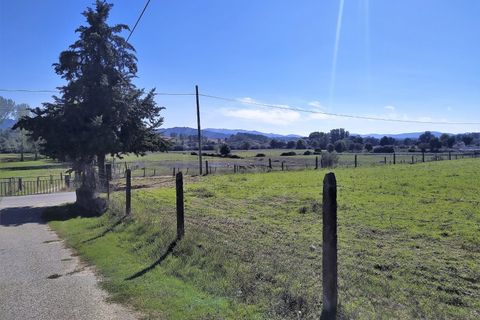 Farm i Boidobra, Castelo Branco, Boidobra - € 1.150.000 | Ref: VIL_50574 - foto 46