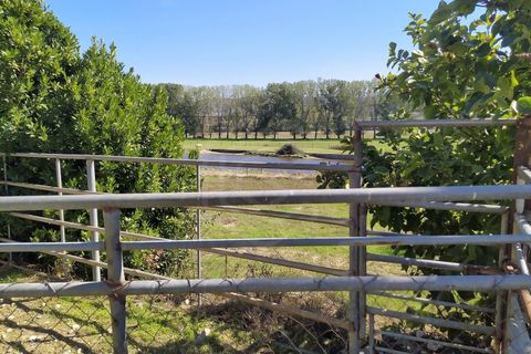 Farm i Boidobra, Castelo Branco, Boidobra - € 1.150.000 | Ref: VIL_50574 - foto 47