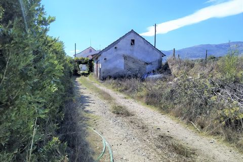 Farm i Boidobra, Castelo Branco, Boidobra - € 1.150.000 | Ref: VIL_50574 - foto 50