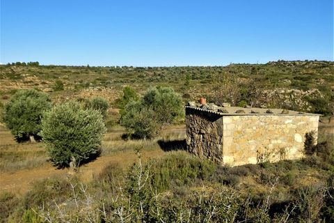 Finca i Maella, Zaragoza, Maella - € 19.500 | Ref: 0842 - foto 19