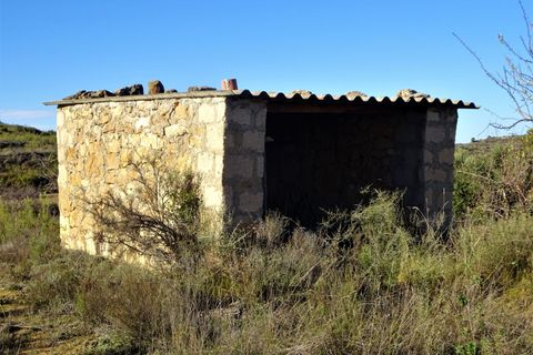 Finca i Maella, Zaragoza, Maella - € 19.500 | Ref: 0842 - foto 21