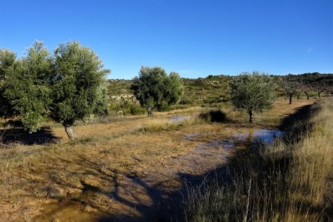 Finca i Maella, Zaragoza, Maella - € 19.500 | Ref: 0842 - foto 16