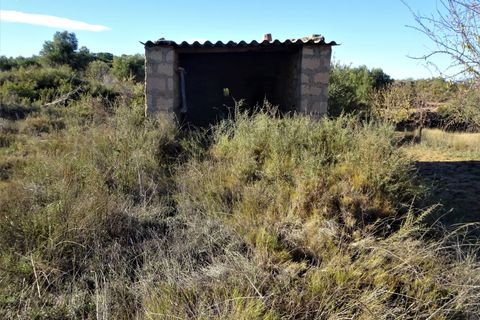 Finca i Maella, Zaragoza, Maella - € 19.500 | Ref: 0842 - foto 24