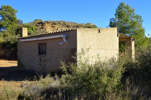 Finca i Maella, Zaragoza, Maella - € 19.500 | Ref: 0842 - foto 8