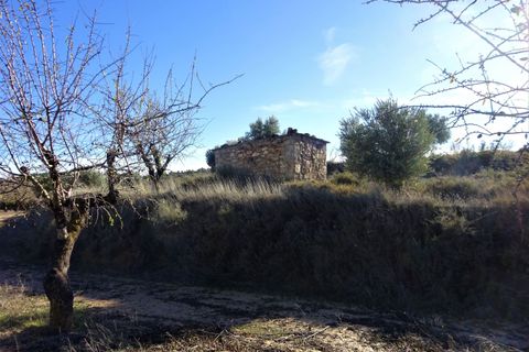 Finca i Maella, Zaragoza, Maella - € 19.500 | Ref: 0842 - foto 18