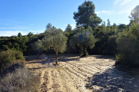 Finca i Maella, Zaragoza, Maella - € 19.500 | Ref: 0842 - foto 14