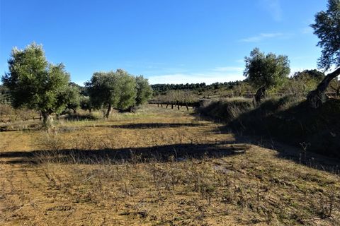 Finca i Maella, Zaragoza, Maella - € 19.500 | Ref: 0842 - foto 22