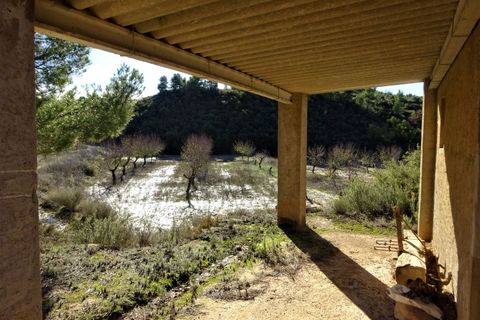 Finca i Maella, Zaragoza, Maella - € 19.500 | Ref: 0842 - foto 12