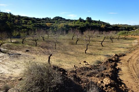 Finca i Maella, Zaragoza, Maella - € 19.500 | Ref: 0842 - foto 7