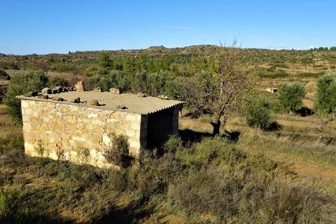 Finca i Maella, Zaragoza, Maella - € 19.500 | Ref: 0842 - foto 20