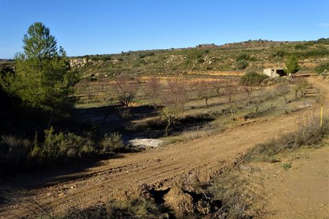 Finca i Maella, Zaragoza, Maella - € 19.500 | Ref: 0842 - foto 13