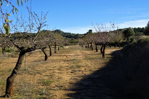 Finca i Maella, Zaragoza, Maella - € 19.500 | Ref: 0842 - foto 17