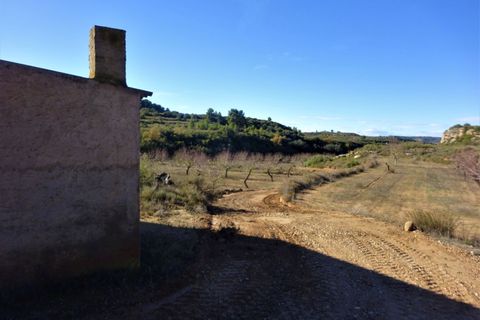 Finca i Maella, Zaragoza, Maella - € 19.500 | Ref: 0842 - foto 6