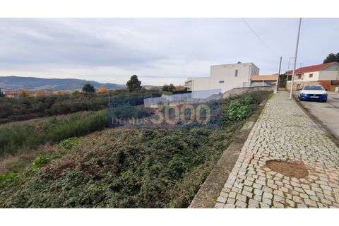 Helårsgrund i Sabrosa, Vila Real, Sabrosa - € 52.500 | Ref: PAR_1091 - foto 2