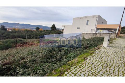 Helårsgrund i Sabrosa, Vila Real, Sabrosa - € 52.500 | Ref: PAR_1091 - foto 3