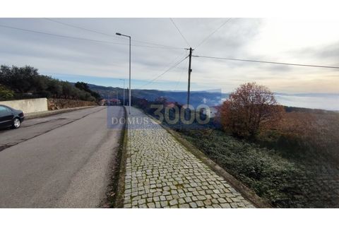 Helårsgrund i Sabrosa, Vila Real, Sabrosa - € 52.500 | Ref: PAR_1091 - foto 5