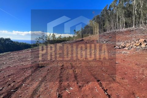 Helårsgrund i Machico, Madeira, Machico - € 150.000 | Ref: TER_667_VG - foto 3