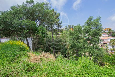 Terra a Lloret De Mar, Gerona, Lloret De Mar - € 40.000 | Ref: 105T - foto 6